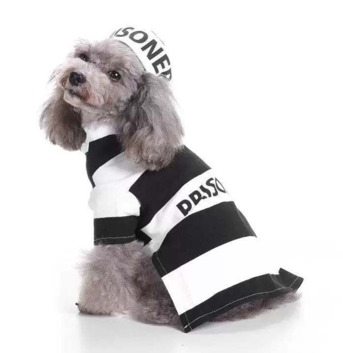 KFX-1063101 Festive Knitted Pet Sweater with Hat - Casual Style for All Sizes