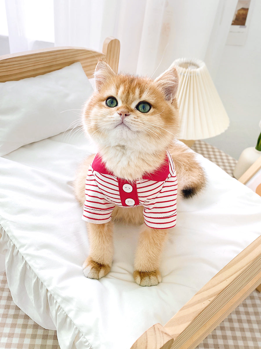 KFX-1063485 Striped Polo Shirt for Cats in Army Green, Tender Yellow, and Big Red