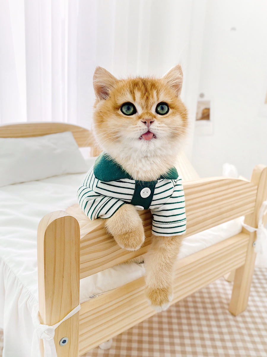 KFX-1063485 Striped Polo Shirt for Cats in Army Green, Tender Yellow, and Big Red