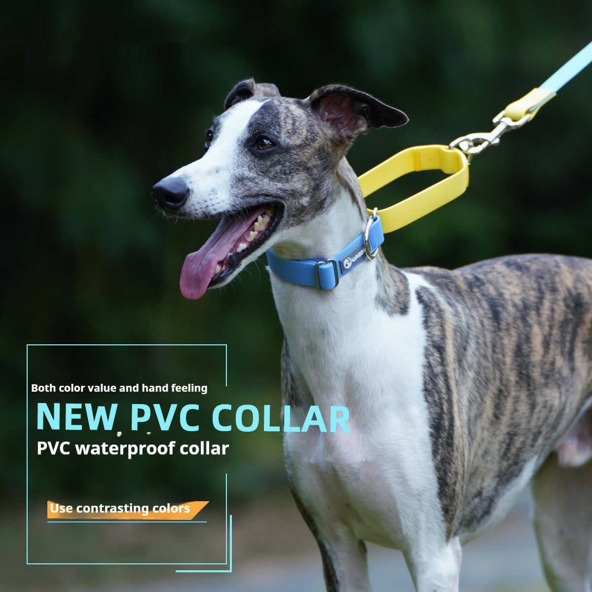 KFX-1064893 Waterproof Plastic Traction Collar and Rope Set for Pets - Multiple Color Options Available