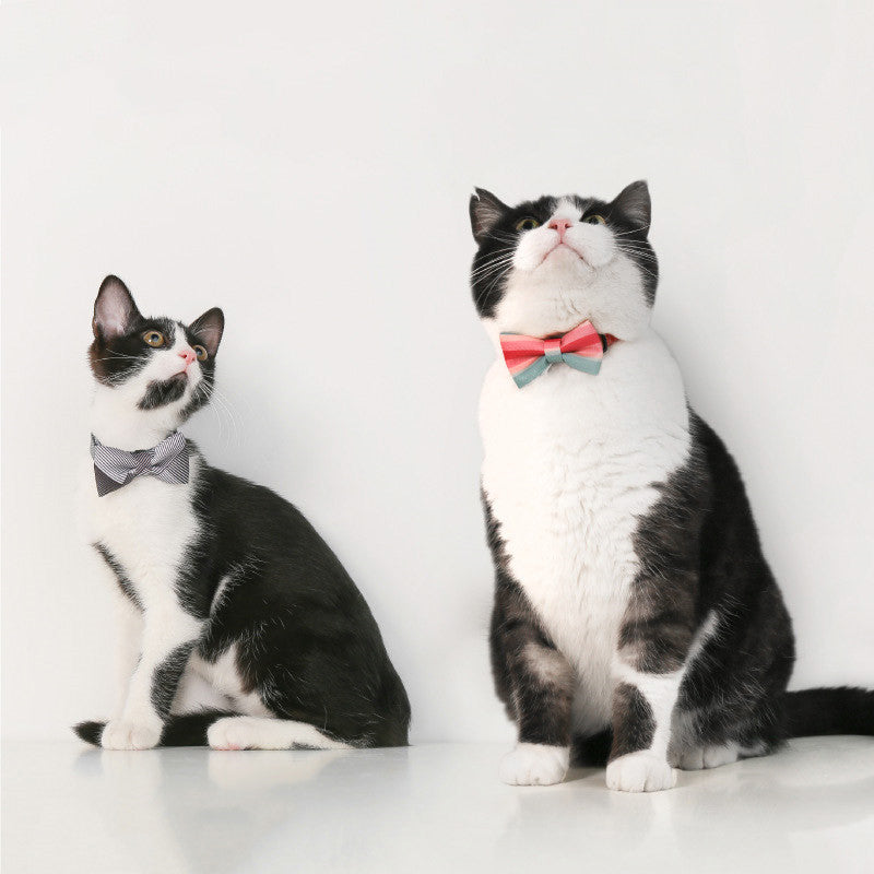 KFX-1072829 Cat Bow Tie Pet Collar in Various Stylish Designs, Adjustable Fit for Neck Circumference 18-30cm