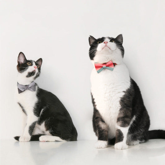 KFX-1072829 Cat Bow Tie Pet Collar in Various Stylish Designs, Adjustable Fit for Neck Circumference 18-30cm