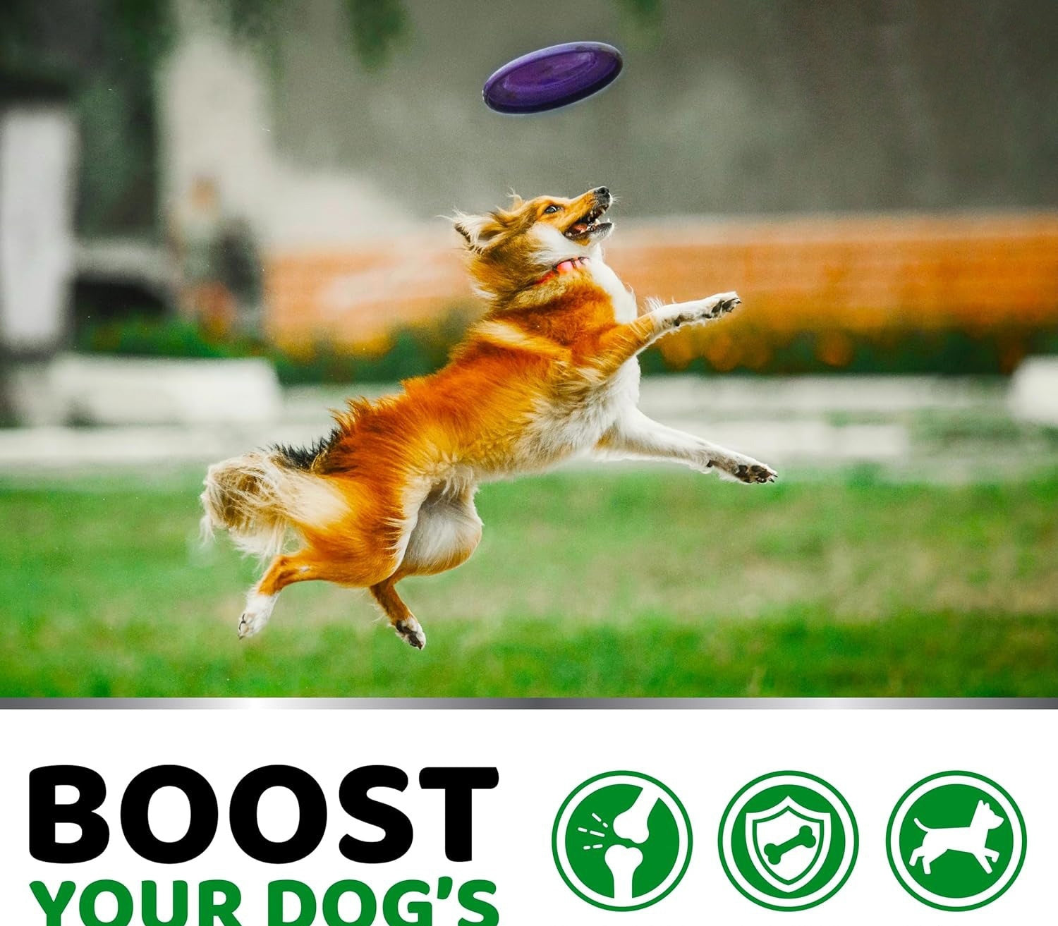 KFX-1076669 Chondroitin Soft Particles for Pet Hip and Joint Support