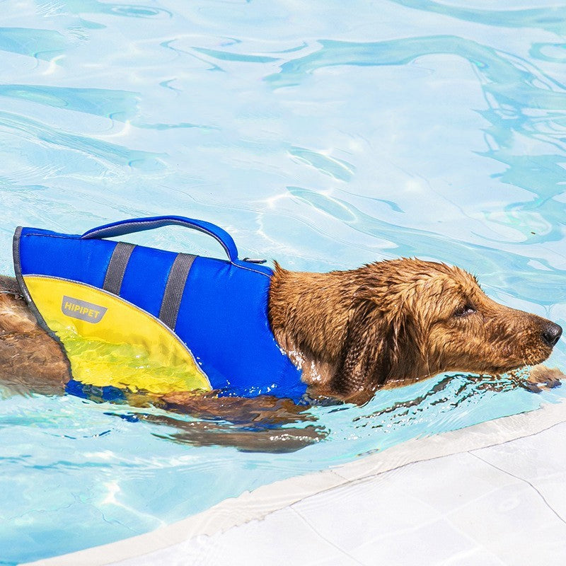 KFX-1083965 Cute Dog Life Jacket for Swimming - Multiple Sizes & Fun Designs