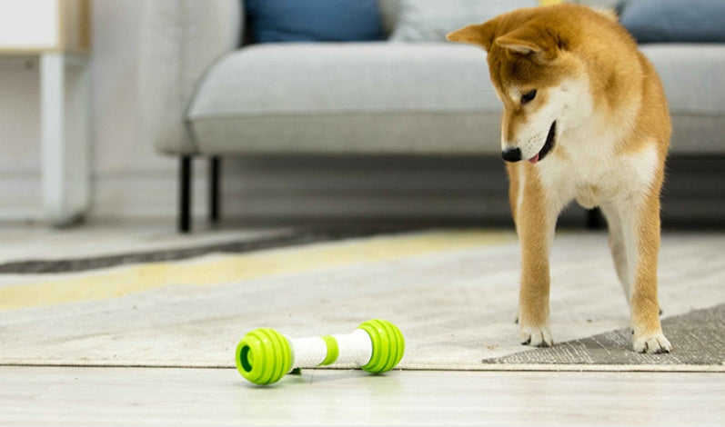 KFX-1087933 Electric Automatic Dog Toy - Happy Bone Design, TPR-ABS Material, Green Color, Anti-Boring Fun