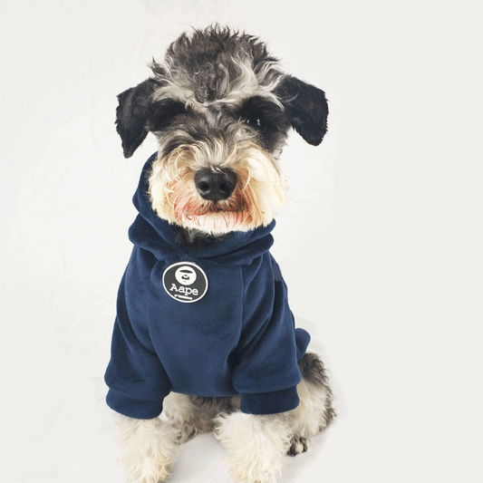KFX-1090109 Super Soft Coral Fleece Sweater for Autumn and Winter - Corgi and Schnauzer Fit