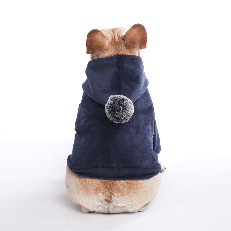 KFX-1090109 Super Soft Coral Fleece Sweater for Autumn and Winter - Corgi and Schnauzer Fit