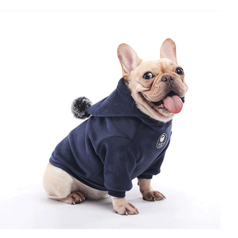 KFX-1090109 Super Soft Coral Fleece Sweater for Autumn and Winter - Corgi and Schnauzer Fit