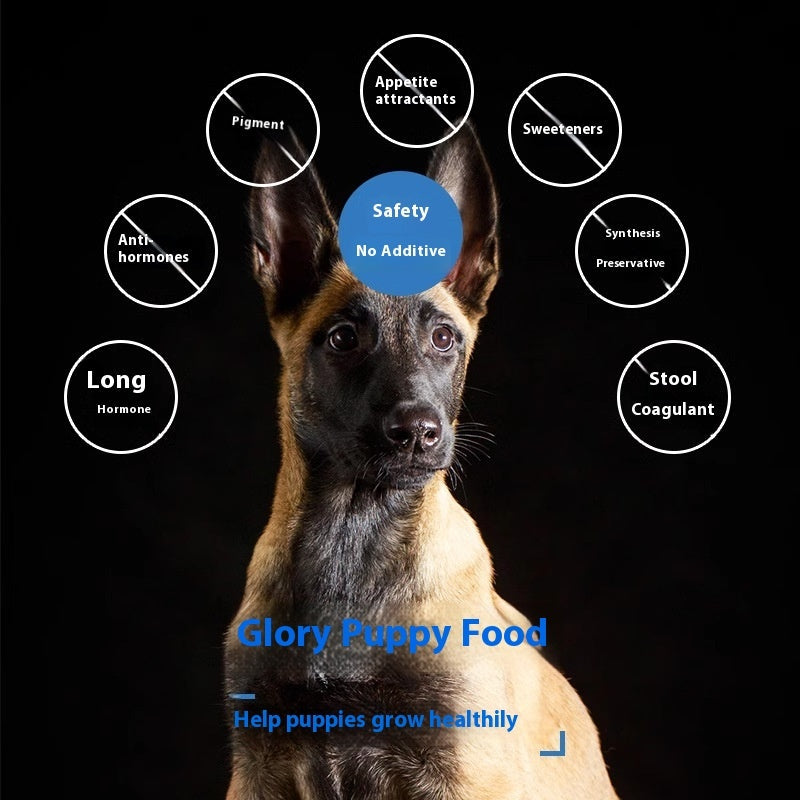 KFX-1109437 Puppy Training Dog Food for Muscle and Bone Development - 10kg