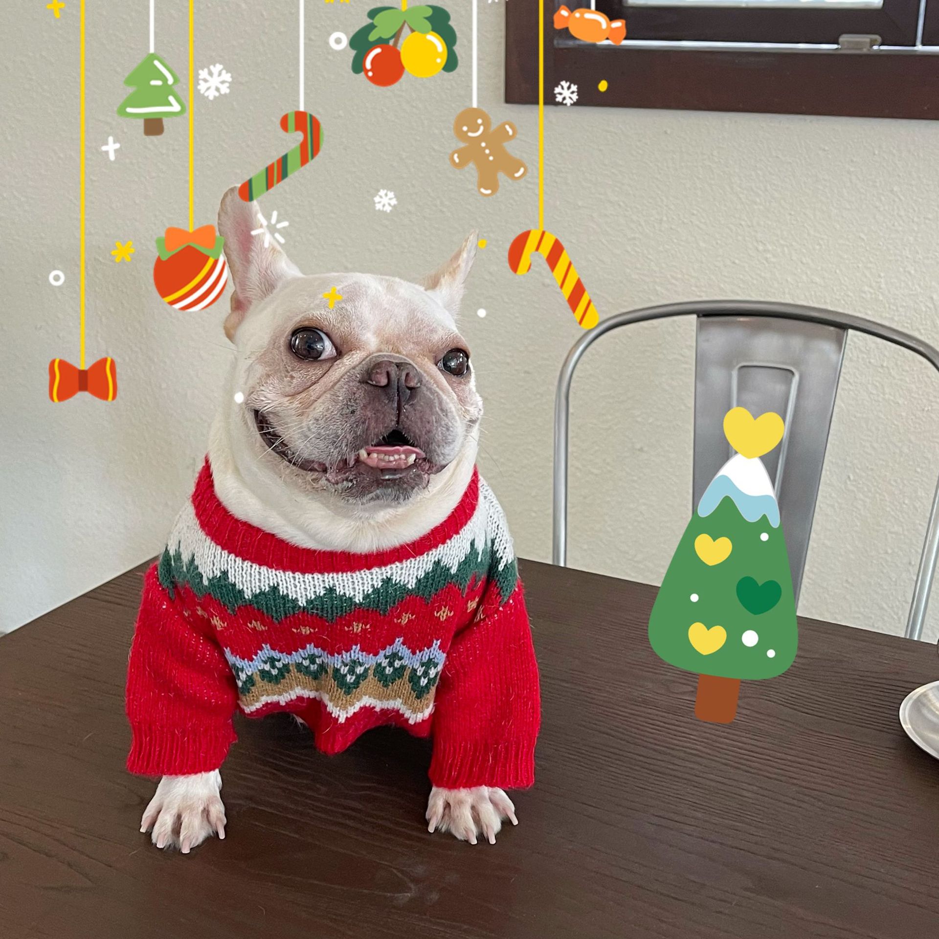 KFX-1113533 Cozy Red Wool Sweater for Dogs and Cats