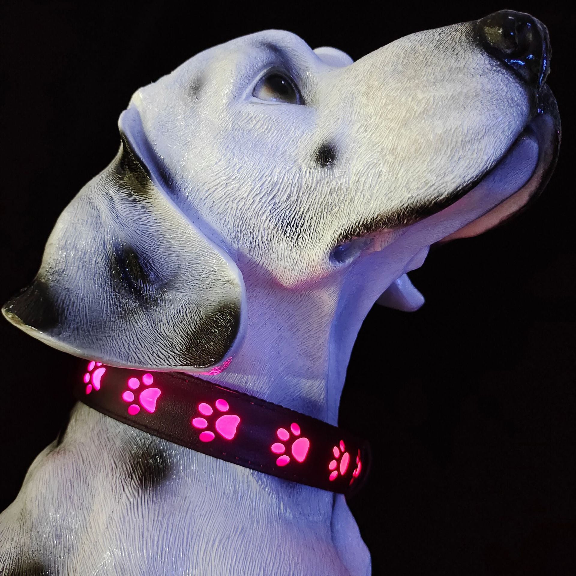 KFX-1118909 7-Color LED Luminous Dog and Cat Traction Collar with USB Charging