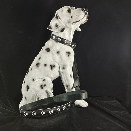KFX-1118909 7-Color LED Luminous Dog and Cat Traction Collar with USB Charging