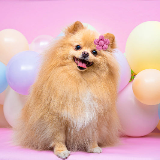 KFX-1120957 Spring Flower Pet Headdress for Dogs and Cats - Colorful Polyester Accessory