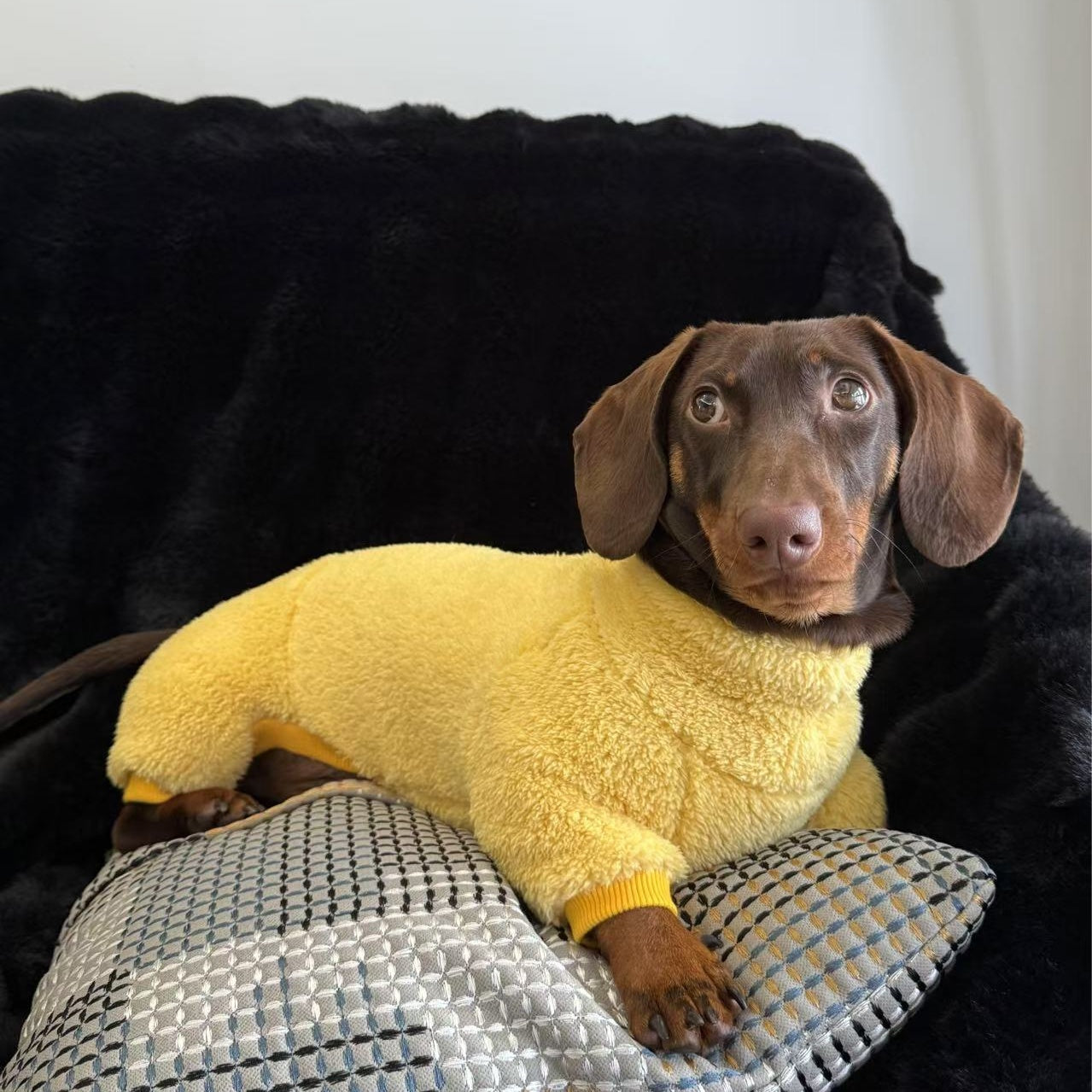 KFX-1125437 Cozy Thick Four-Legged Dog Coat for Autumn and Winter in Various Colors