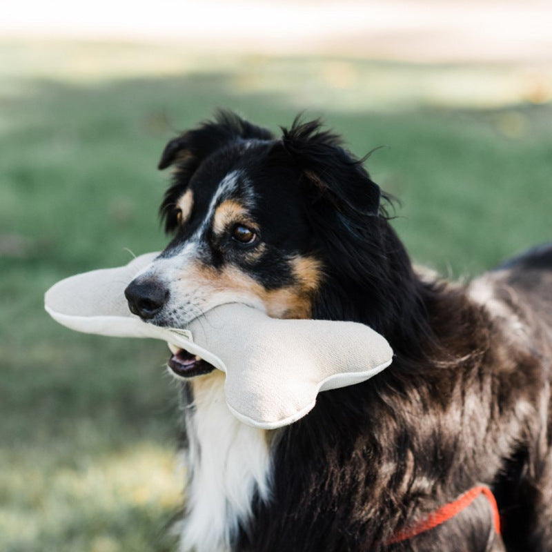 KFX-1125693 Cotton Velvet Dog Toy Bone for Chewing and Molar Care