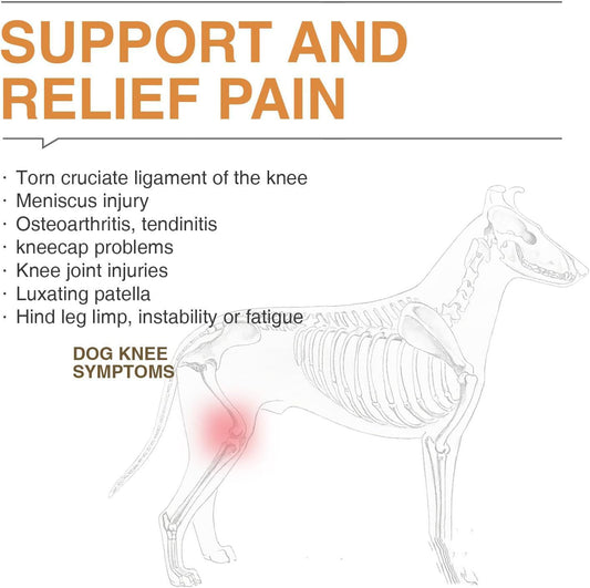 KFX-1133245 Acl Knee Pad for Joint Pain Relief in Hip Dysplasia, Adjustable Protective Strap Available in M, L, XL