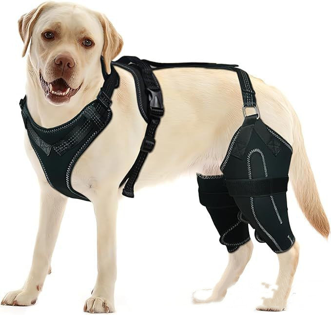KFX-1133245 Acl Knee Pad for Joint Pain Relief in Hip Dysplasia, Adjustable Protective Strap Available in M, L, XL