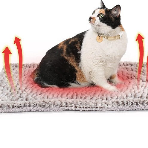 KFX-1135421 Light Gray Double-Sided Pet Sleeping Mat Blanket for Cats - 50x60cm & 60x80cm Options