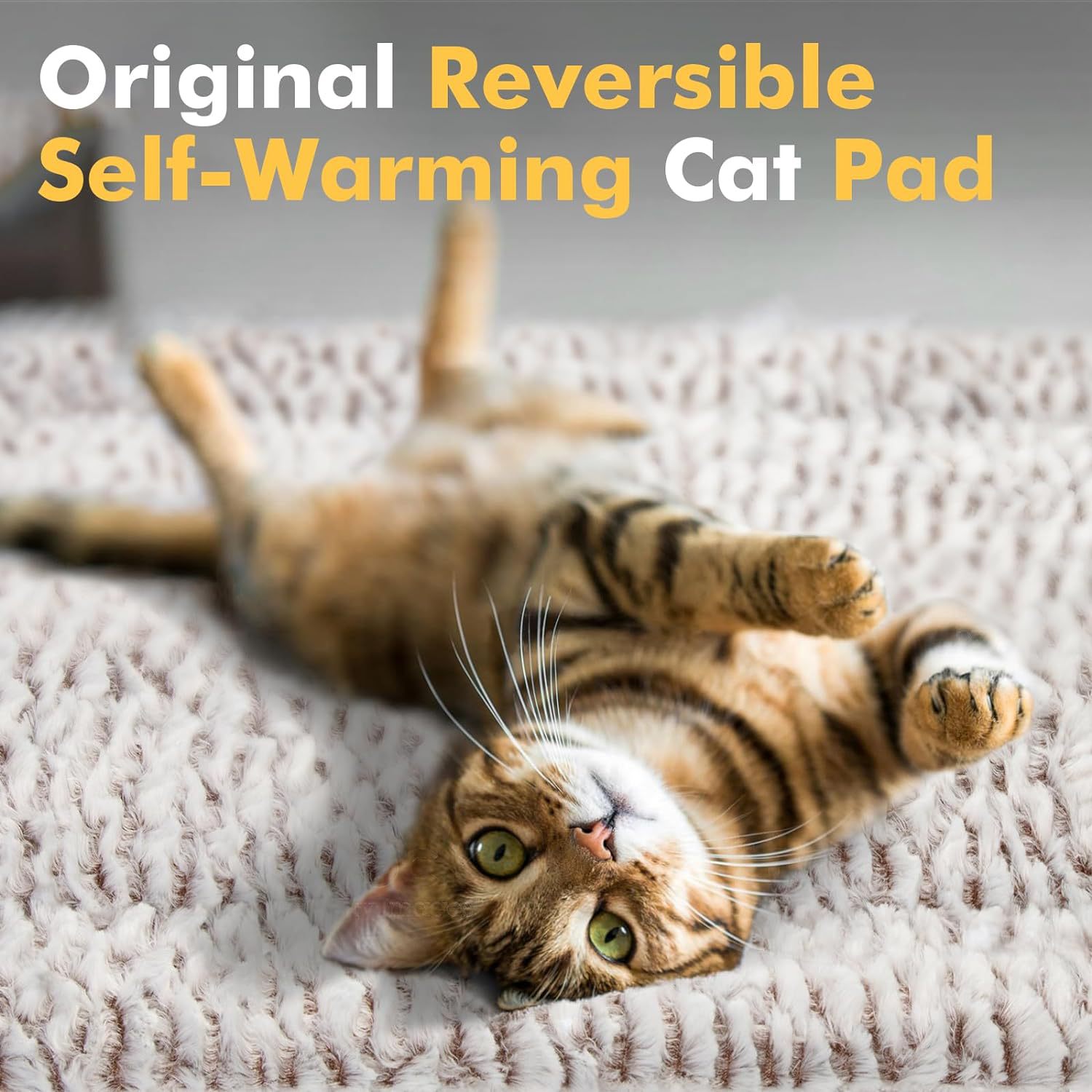 KFX-1135421 Light Gray Double-Sided Pet Sleeping Mat Blanket for Cats - 50x60cm & 60x80cm Options