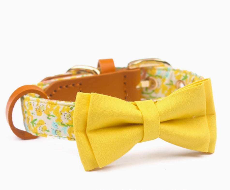 KFX-1136189 Floral Cotton and Cowhide Pet Dog Collar with Hand Holding Rope