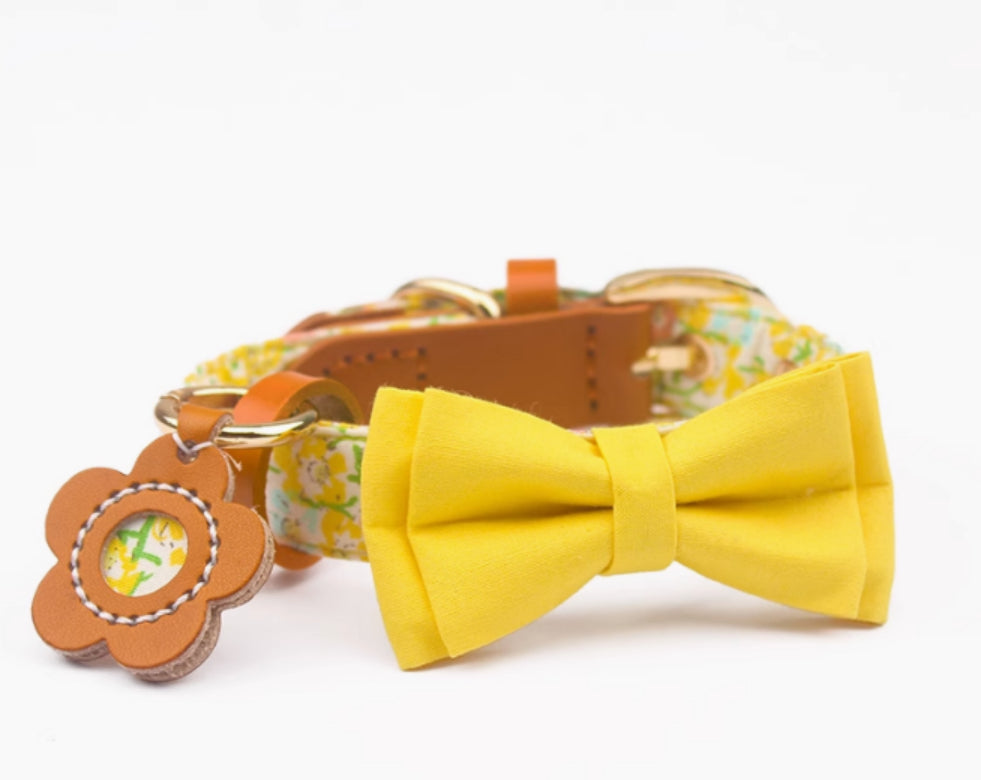 KFX-1136189 Floral Cotton and Cowhide Pet Dog Collar with Hand Holding Rope