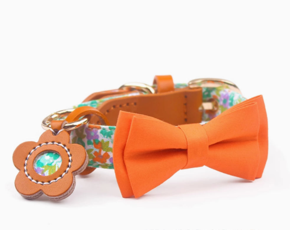 KFX-1136189 Floral Cotton and Cowhide Pet Dog Collar with Hand Holding Rope