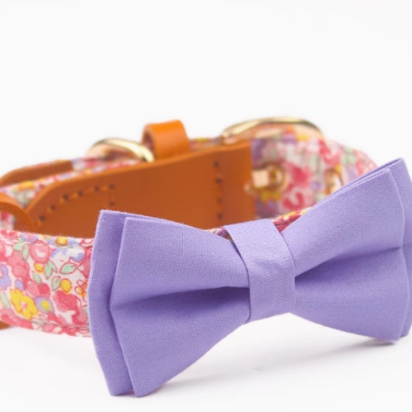 KFX-1136189 Floral Cotton and Cowhide Pet Dog Collar with Hand Holding Rope
