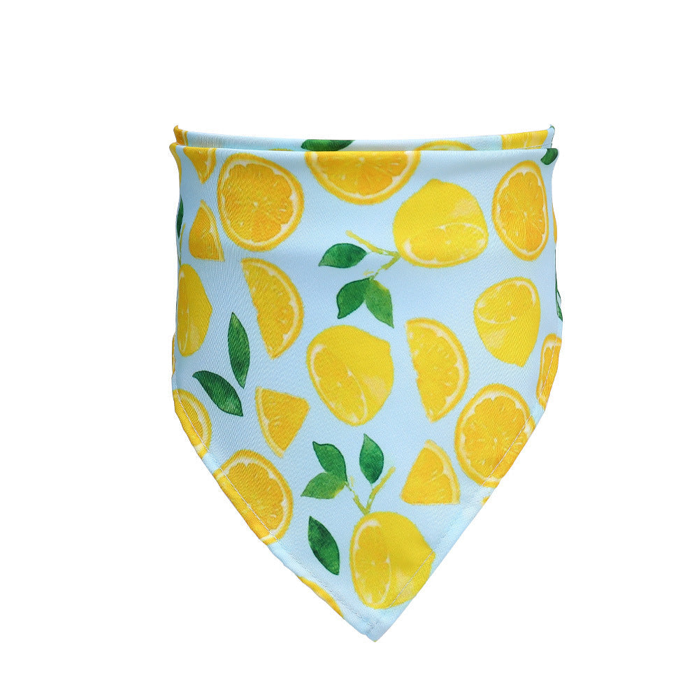KFX-1138365 Fashionable Triangular Cat and Dog Collar with Fruit Patterns - Available in Small and Medium Sizes