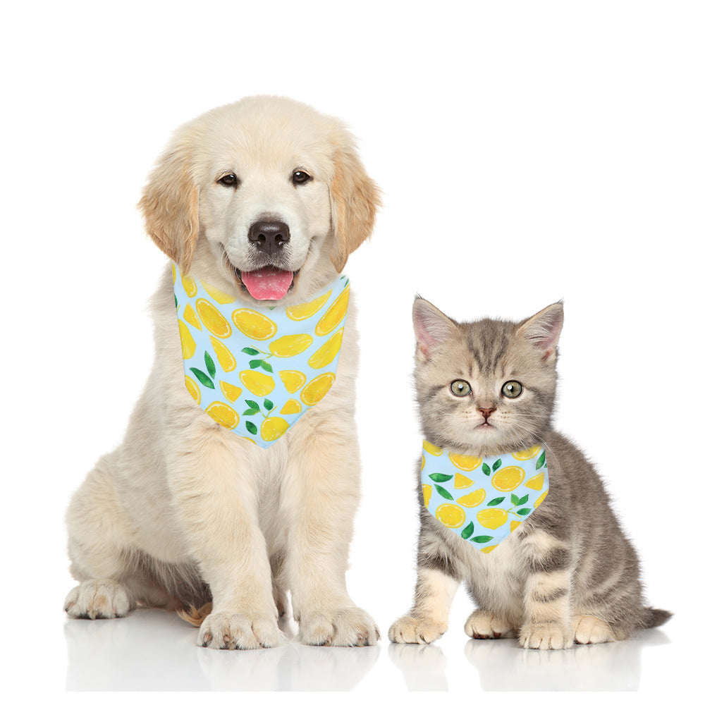 KFX-1138365 Fashionable Triangular Cat and Dog Collar with Fruit Patterns - Available in Small and Medium Sizes