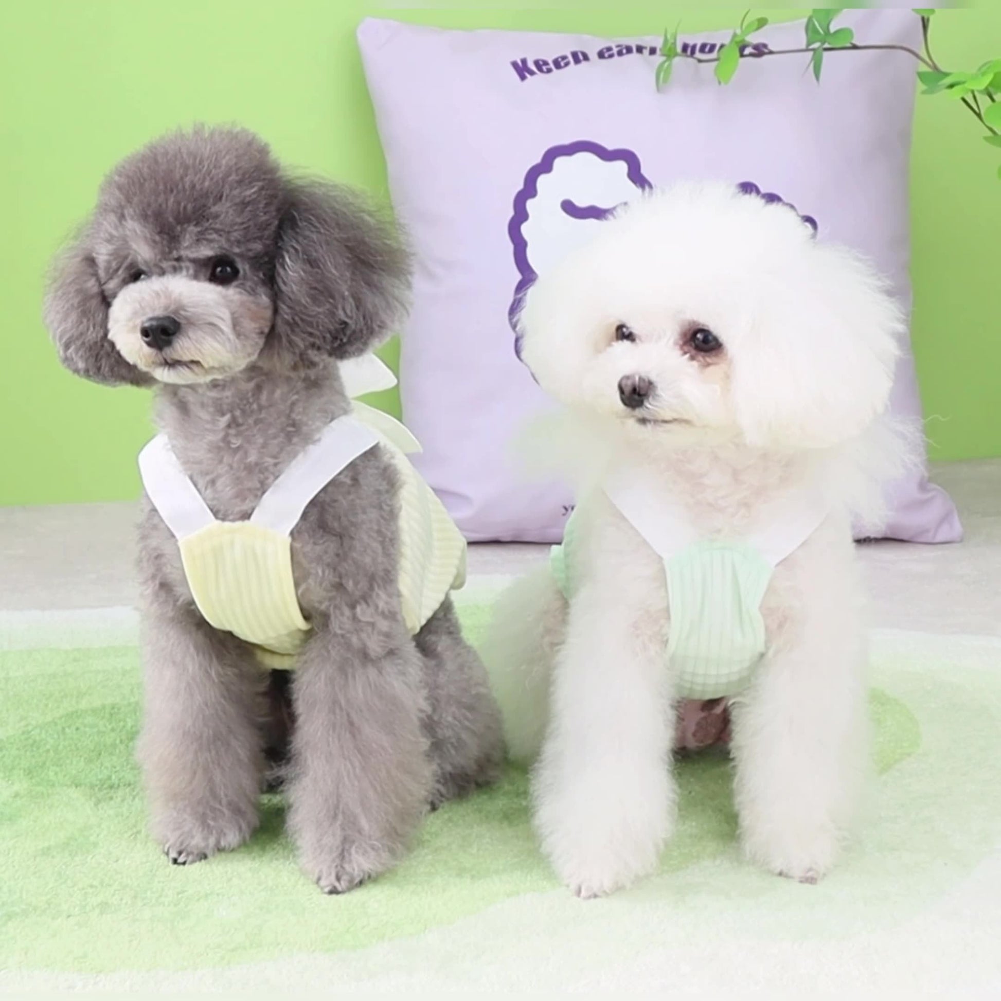 KFX-1138749 Light Luxury Puppy Pompous Skirt in Blue, Green, Yellow, Pink - Double-Sided Velvet, Casual Style, Sizes XS-XL