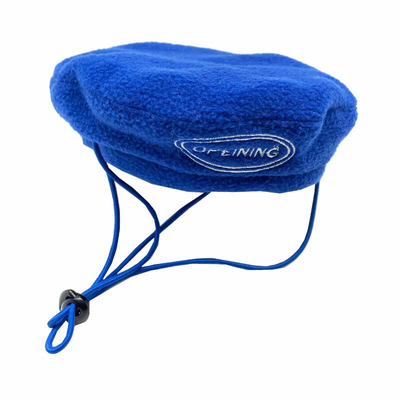 KFX-1141181 Chic Velvet Pet Dog Hat with Beret Style in Various Colors