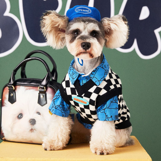 KFX-1141181 Chic Velvet Pet Dog Hat with Beret Style in Various Colors
