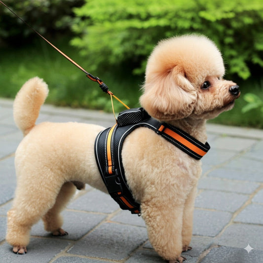 KFX-1145917 Automatic Retractable Lanyard Chest Harness Set for Pets - Multiple Color Options Available