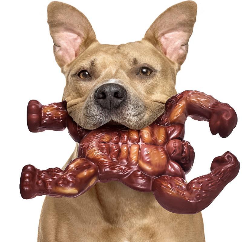 KFX-1156285 Nylon Dog Chew Toy in Beef Flavor - Durable Molar Nibbler for Active Dogs