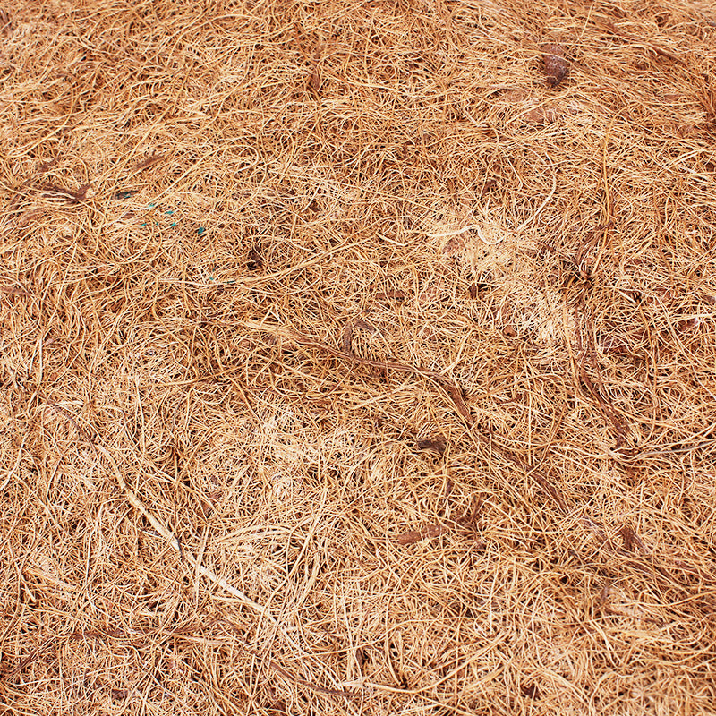 KFX-1171005 Coconut Palm Mat for Reptiles and Tortoises - Dust-Free Material Option in Various Sizes