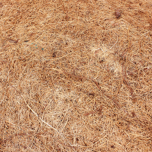 KFX-1171005 Coconut Palm Mat for Reptiles and Tortoises - Dust-Free Material Option in Various Sizes