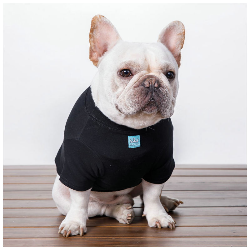 KFX-1177277 Cozy Cotton Dog Sweater with Velvet Print in Coffee for Small Breeds