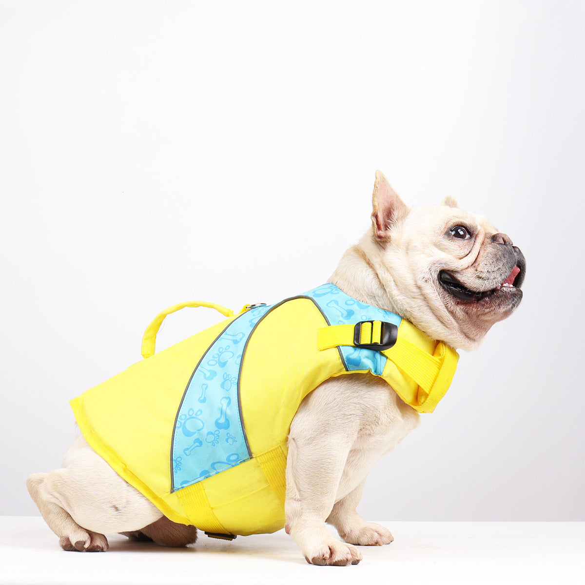 KFX-1182269 Bright Color Contrast Dog Life Jacket Vest for Safety in Water Activities