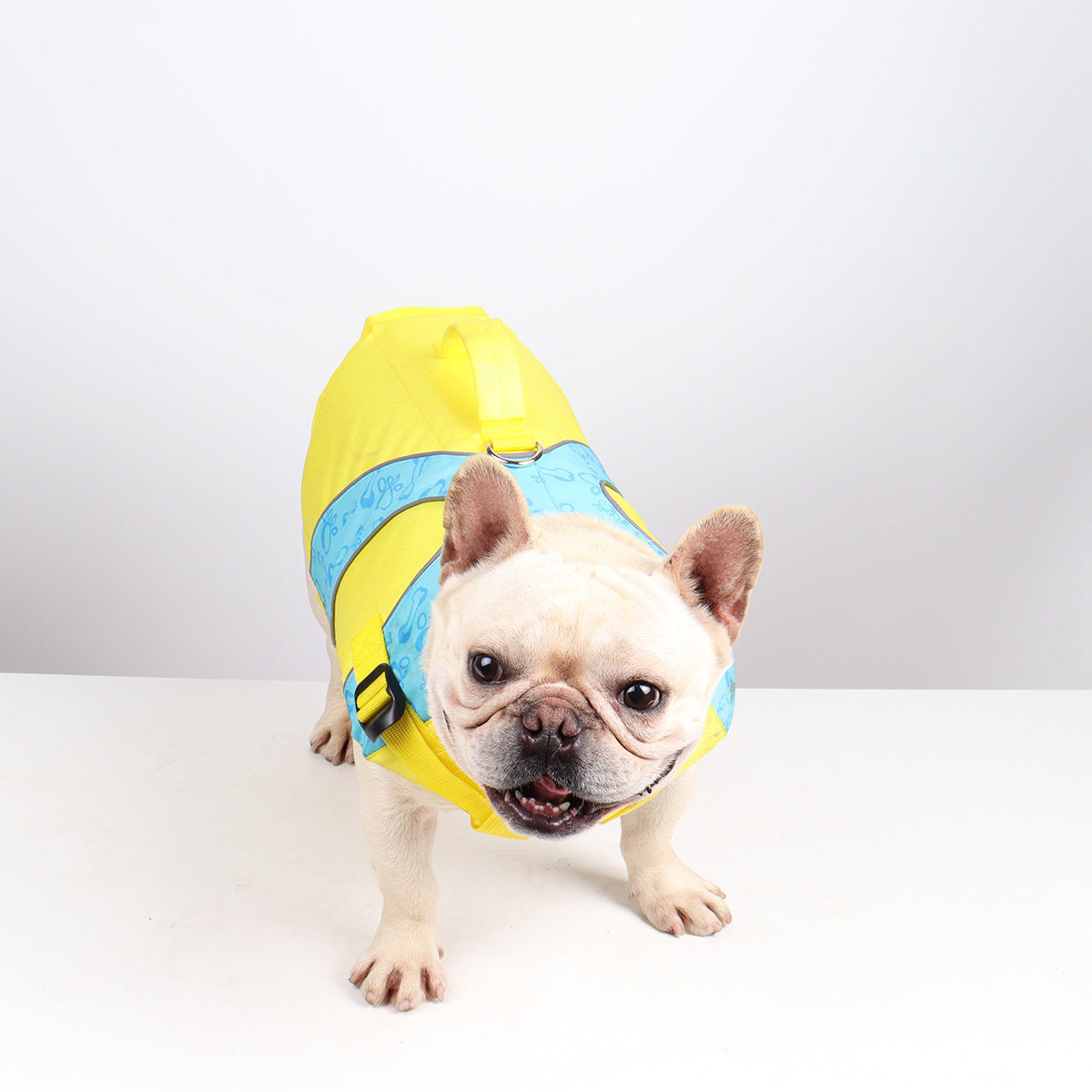 KFX-1182269 Bright Color Contrast Dog Life Jacket Vest for Safety in Water Activities