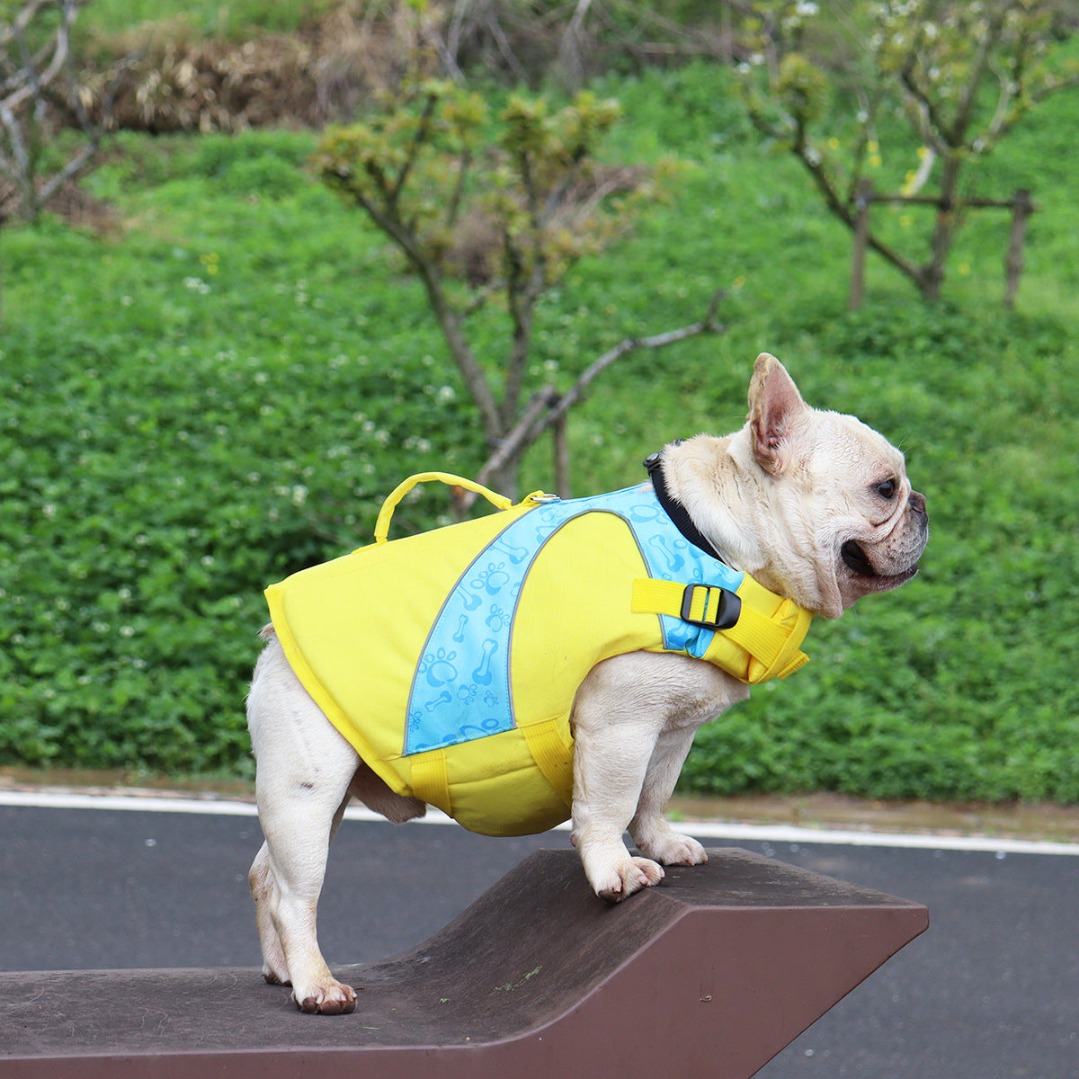 KFX-1182269 Bright Color Contrast Dog Life Jacket Vest for Safety in Water Activities