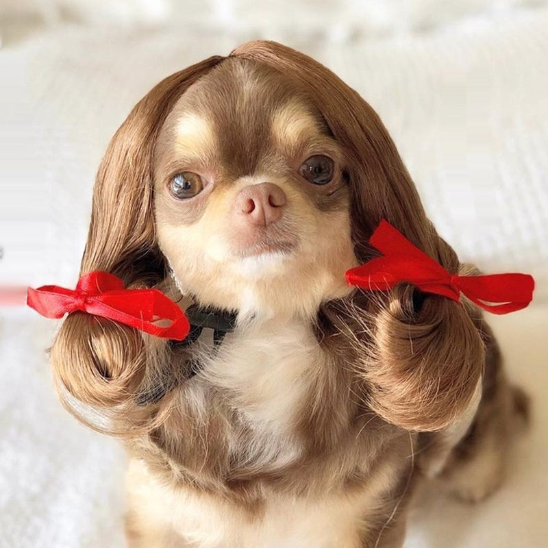 KFX-1186493 Pet Wig Sheath for Parties - Various Colors and Styles, Fits Head Circumference 30-60cm