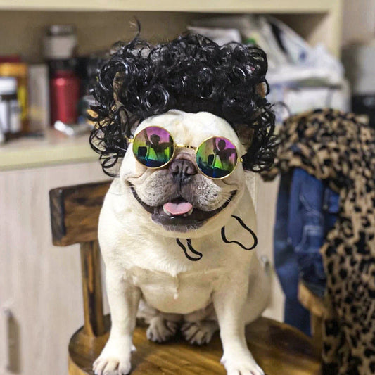 KFX-1186493 Pet Wig Sheath for Parties - Various Colors and Styles, Fits Head Circumference 30-60cm