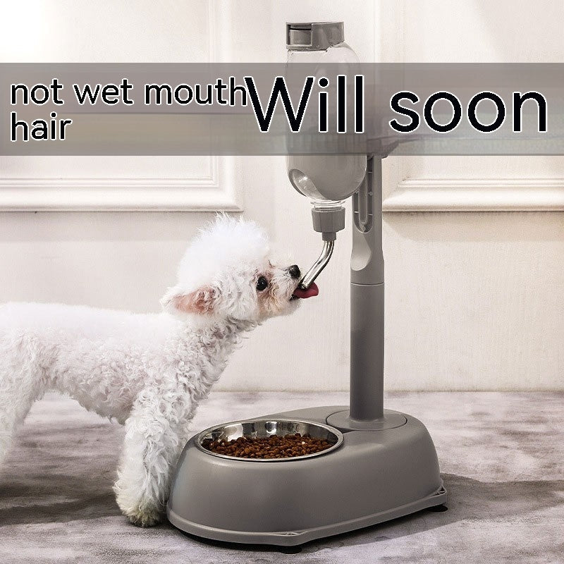 KFX-1186621 Non-Wet Vertical Drinking Water Dispenser for Cats and Small Dogs - 500ml Capacity with Adjustable Height
