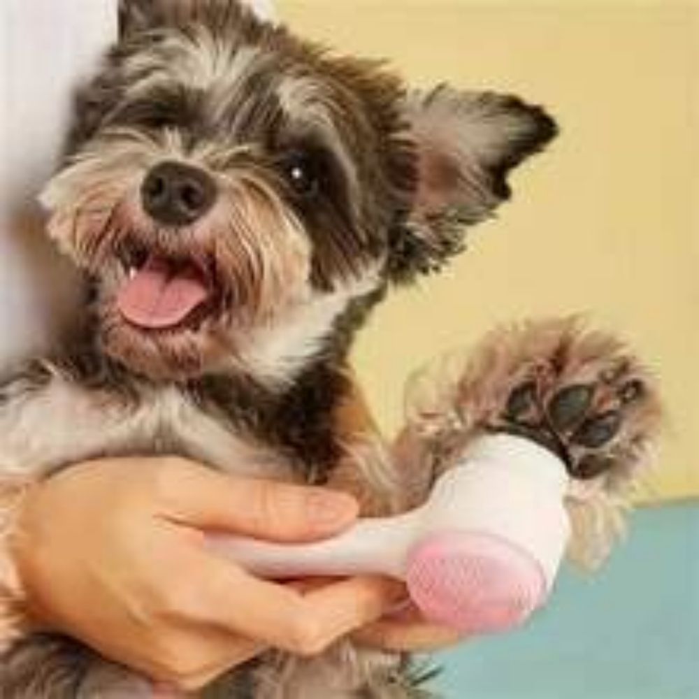 KFX-1187901 Gentle Nylon Pet Grooming Paw Brush for Cats and Dogs - Easy Clean Massage Tool