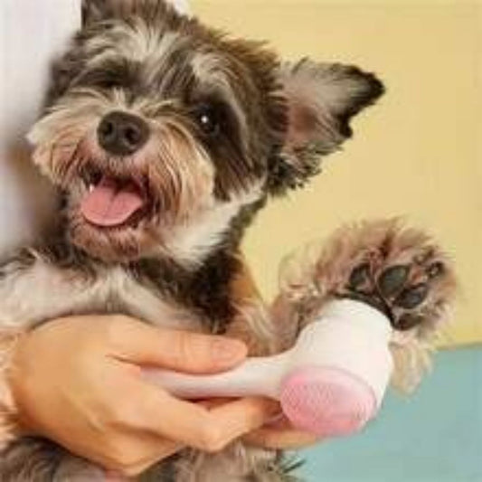 KFX-1187901 Gentle Nylon Pet Grooming Paw Brush for Cats and Dogs - Easy Clean Massage Tool
