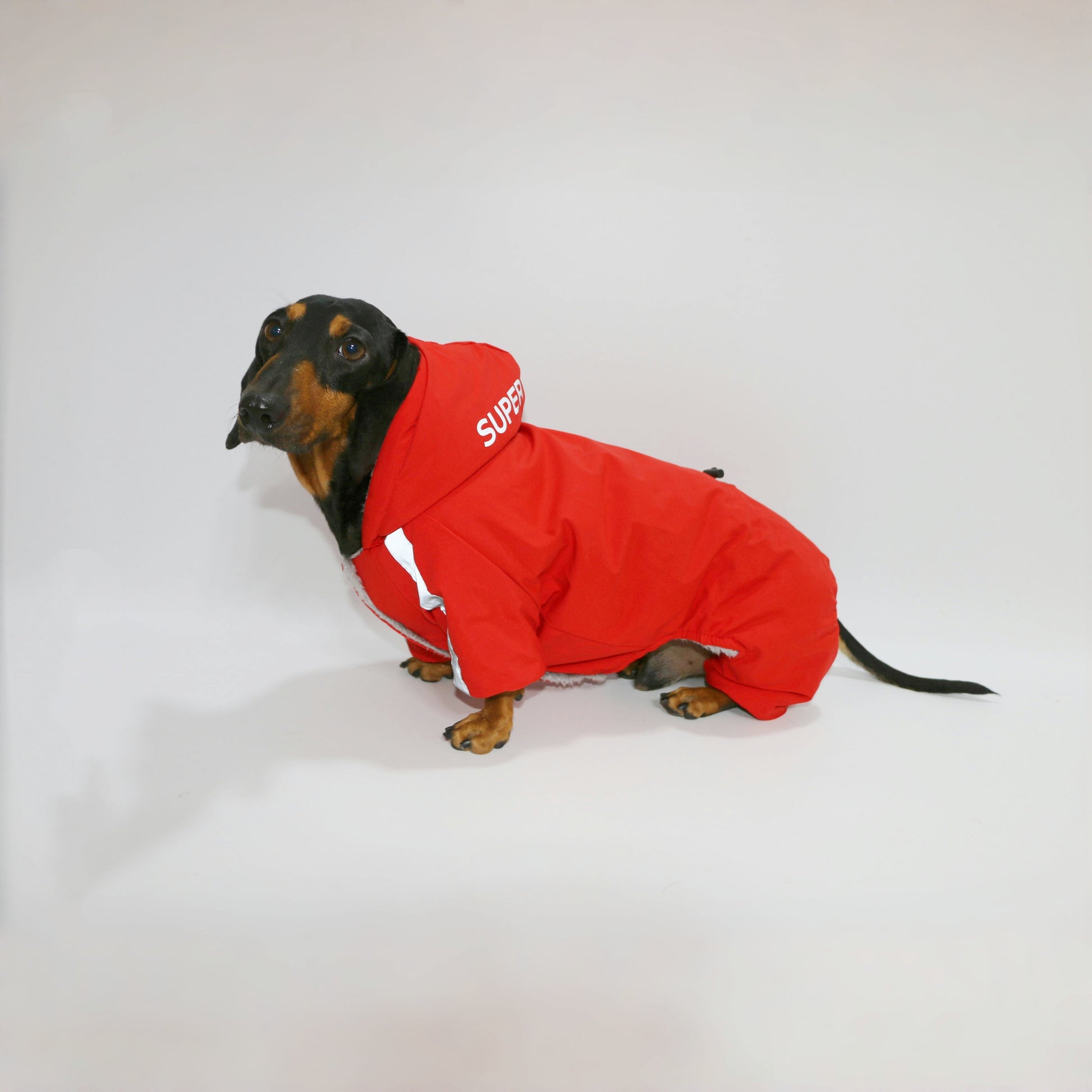 KFX-1200701 Warm Reflective Winter Pet Clothing for Dogs and Cats - Four-Legged Outdoor Apparel