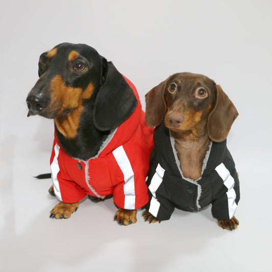 KFX-1200701 Warm Reflective Winter Pet Clothing for Dogs and Cats - Four-Legged Outdoor Apparel