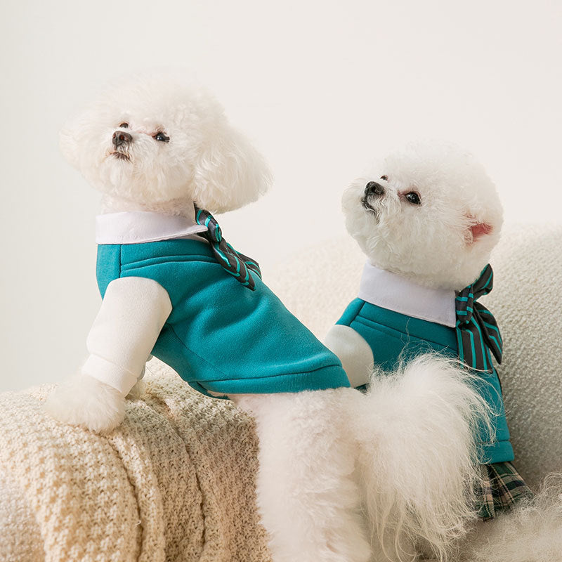 KFX-1206973 College Style Dog Bow Tie and Sweater Dress Set in Green - Fashionable, Simple Design for Pets