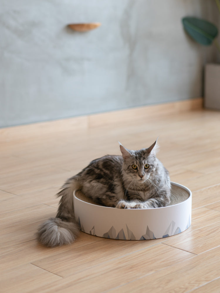 KFX-1207869 Corrugated Paper Cat Scratch Board for Claw Maintenance, 410x410x100mm