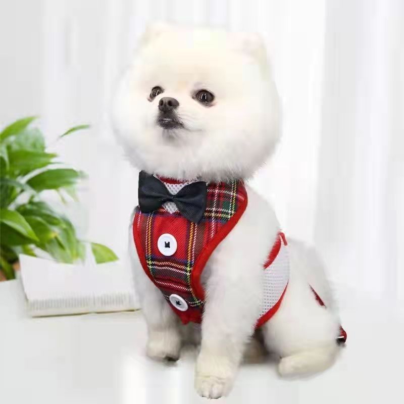 KFX-1208253 Rope Vest Harness with Leash for Small and Medium Dogs – Nylon Chest Strap in Various Colors